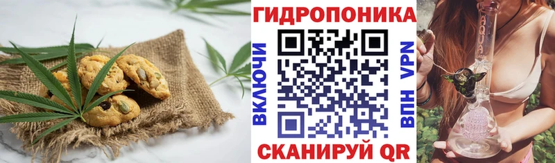 наркота  Удачный  MEGA ссылка  Canna-Cookies марихуана 
