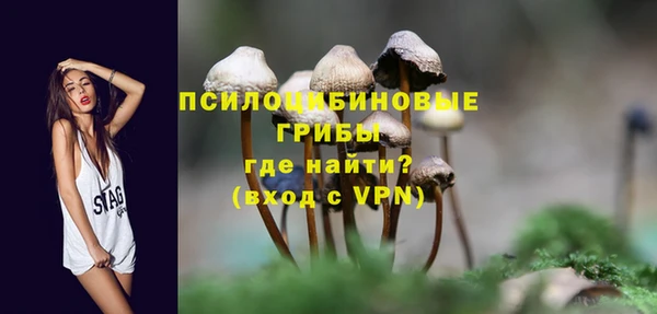 кокаин Белокуриха
